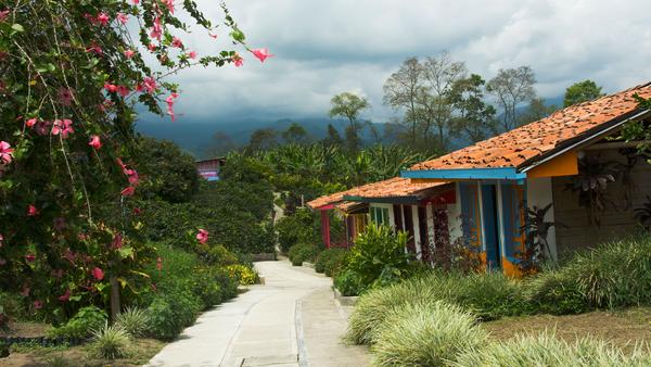 Colombia boasts a mix of wildlife, geography, and history quite unlike any other in South America