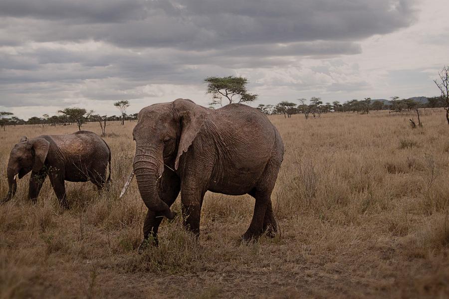 Our travellers show off their best animal 'grams. 