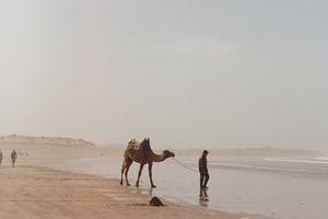 Solo traveller Nicole Todd captures the highlights of Morocco on 35mm film