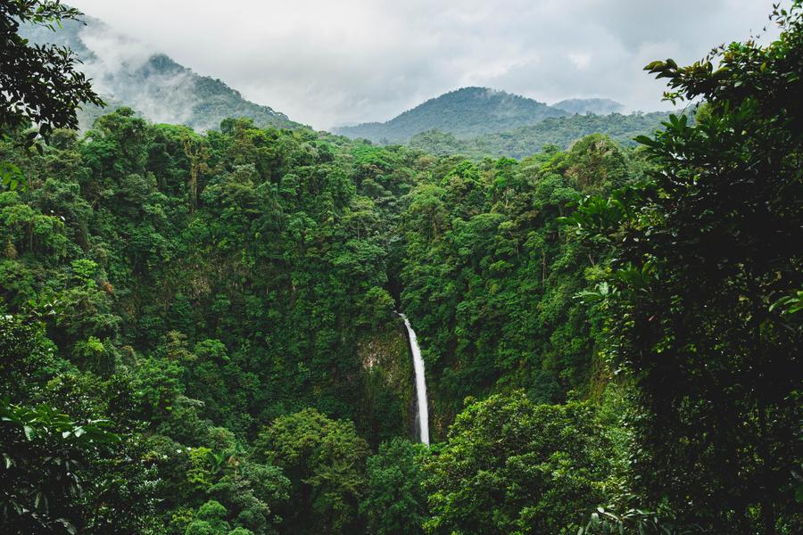 From aromatic coffee beans to Arenal volcano, we share our favourite Costa Rican things to see, taste, smell, hear and feel