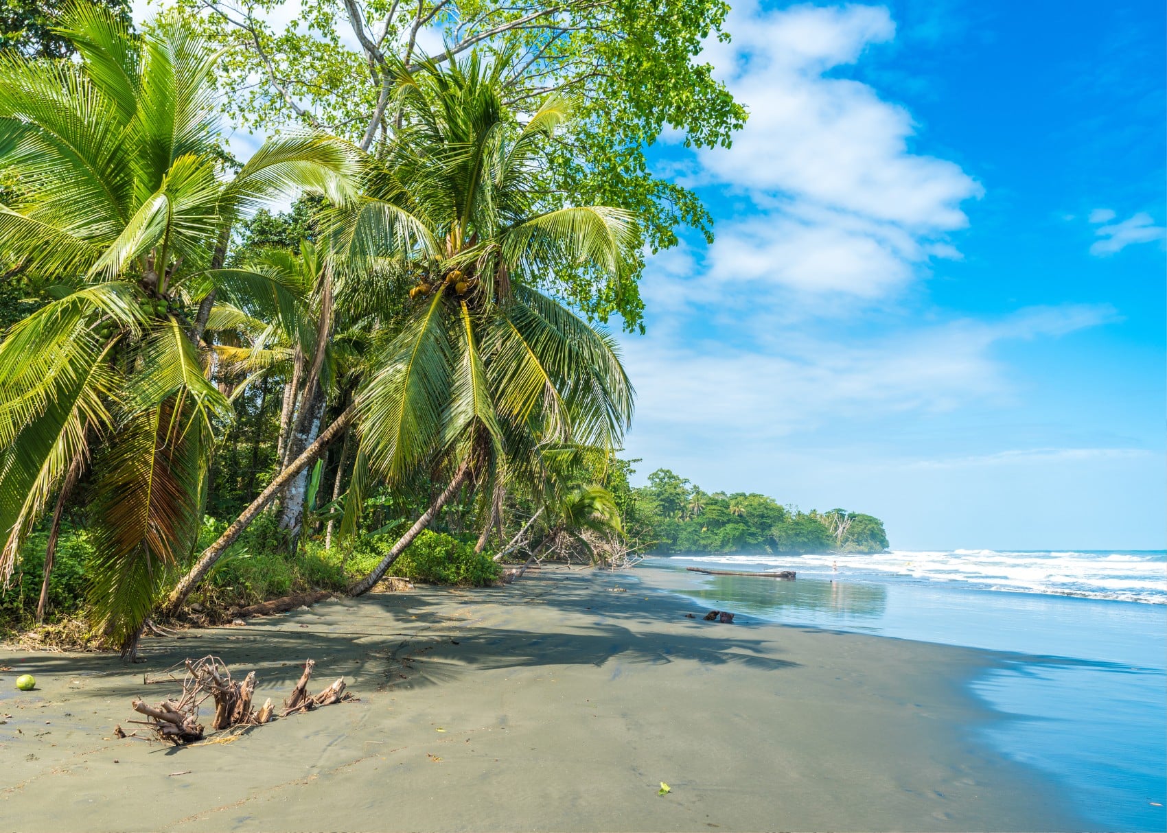 a calm black sand beach moment on Playa Negra, Costa Rica