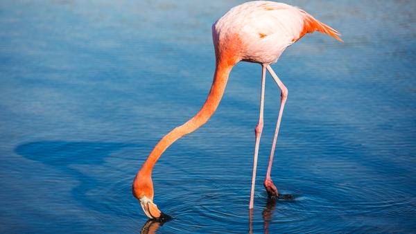 One of the smaller Galápagos Islands is a nature-lover's paradise — but it also has a few dark secrets