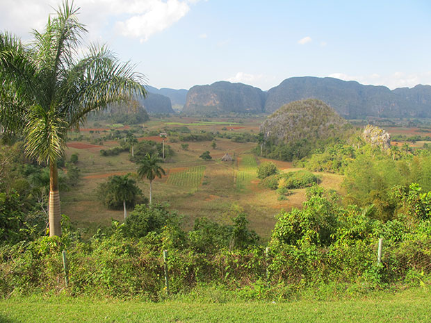 Green-is-for-Vinales