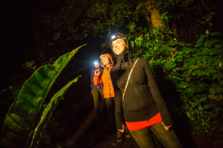 Go hands-free and pack a headlamp for safer walks at night.