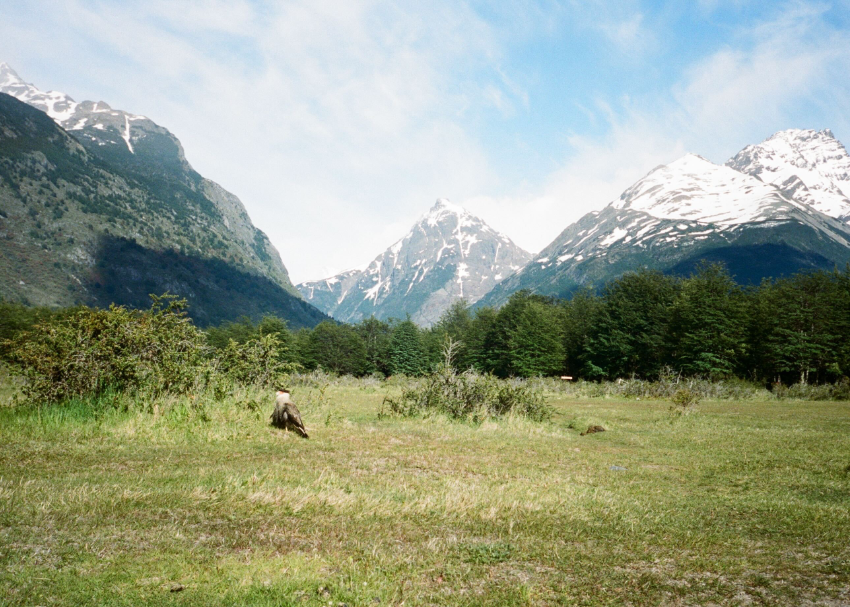 patagonia pic