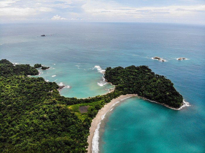 every green and blue comes to life at Manuel Antonio State Park