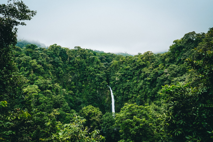 feel refreshed gazing on cloud forests, rushing white water and thick jungle canopies