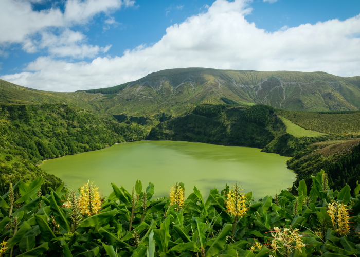 pea soup green waters surrounded by spring green foliage and flowers overlooking Sete Cidades in the Azores